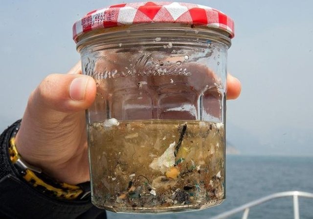 如果知道海洋中的塑料垃圾會進入人類肚子，你還會丟嗎？
