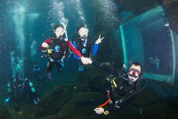 12/12正式上線！PADI 最新課程【休閑潛水員Resort Diver】 丨 一天拿證，潛遍全球