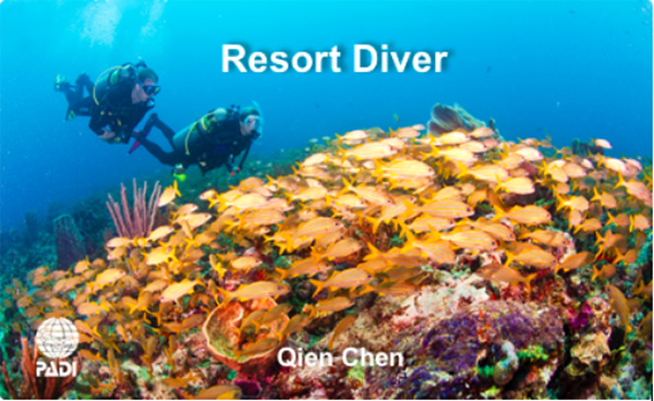 12/12正式上線！PADI 最新課程【休閑潛水員Resort Diver】 丨 一天拿證，潛遍全球