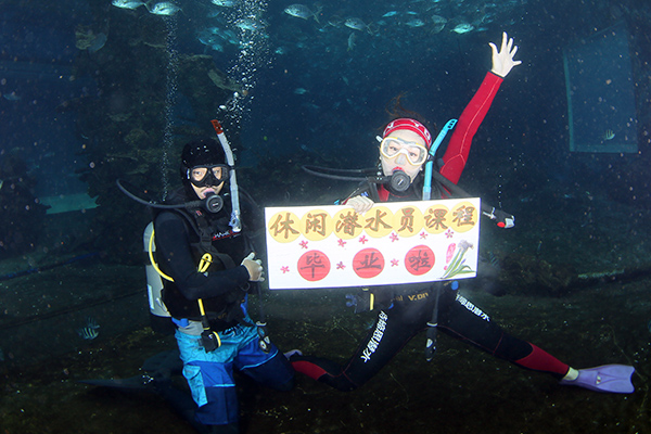 12/12正式上線！PADI 最新課程【休閑潛水員Resort Diver】 丨 一天拿證，潛遍全球