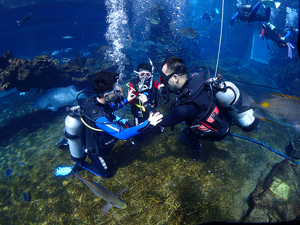 12/12正式上線！PADI 最新課程【休閑潛水員Resort Diver】 丨 一天拿證，潛遍全球