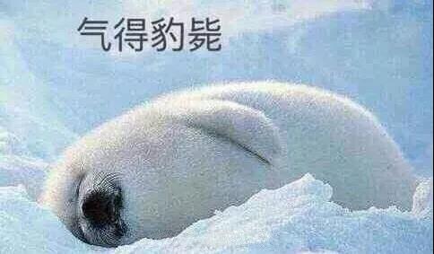 原來(lái)你是這樣的潛水員妹子！