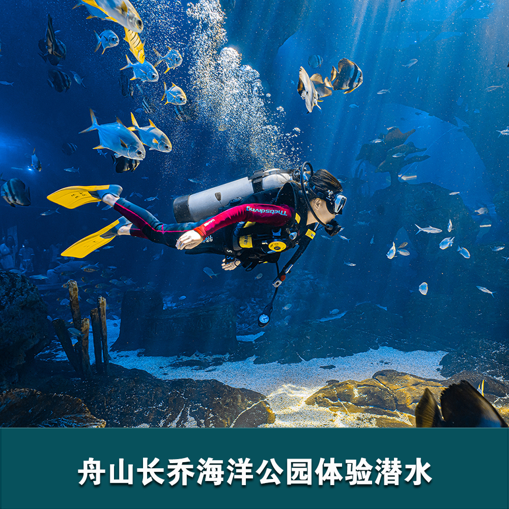 舟山長喬海洋公園體驗(yàn)潛水